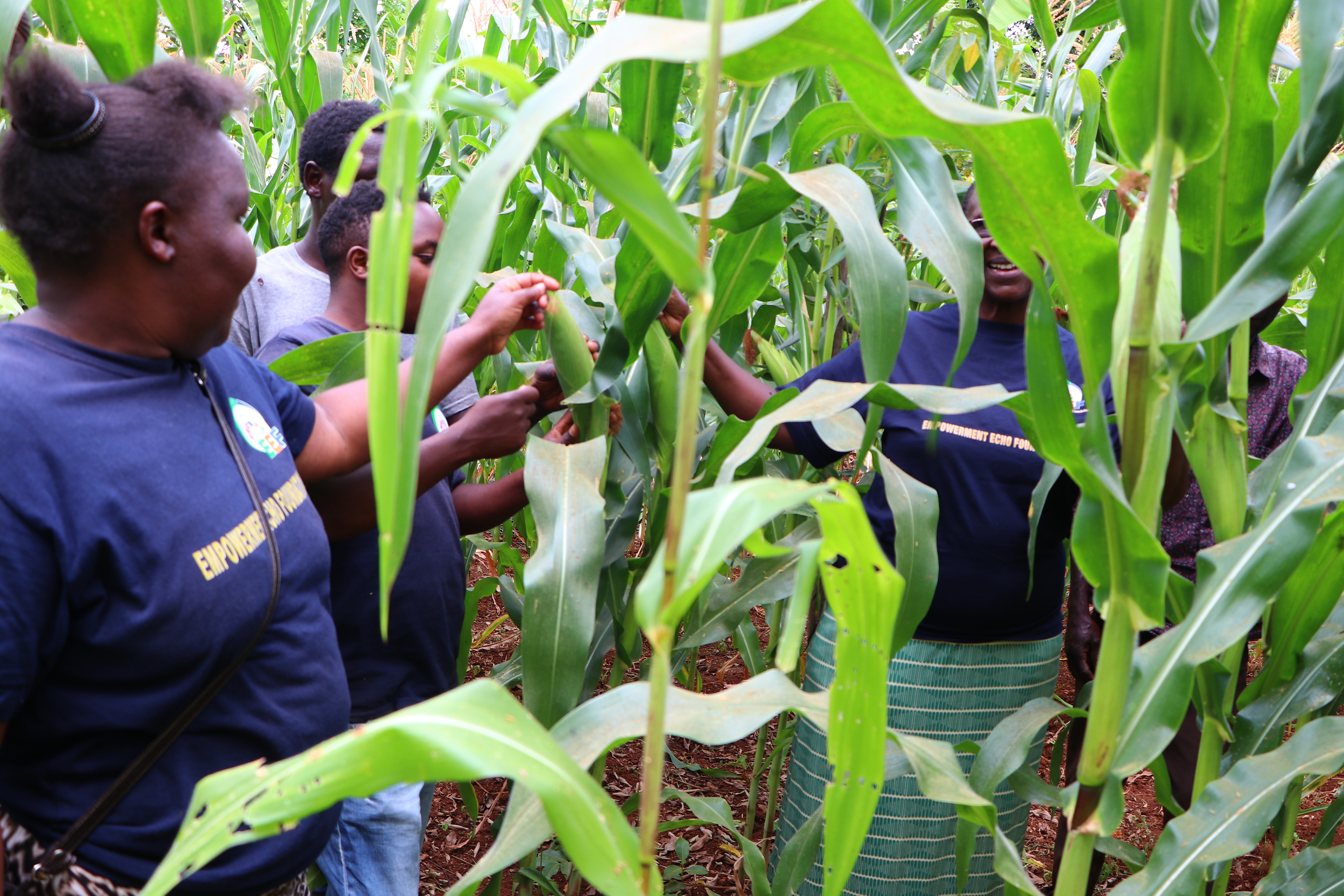 Agricultural Training Session