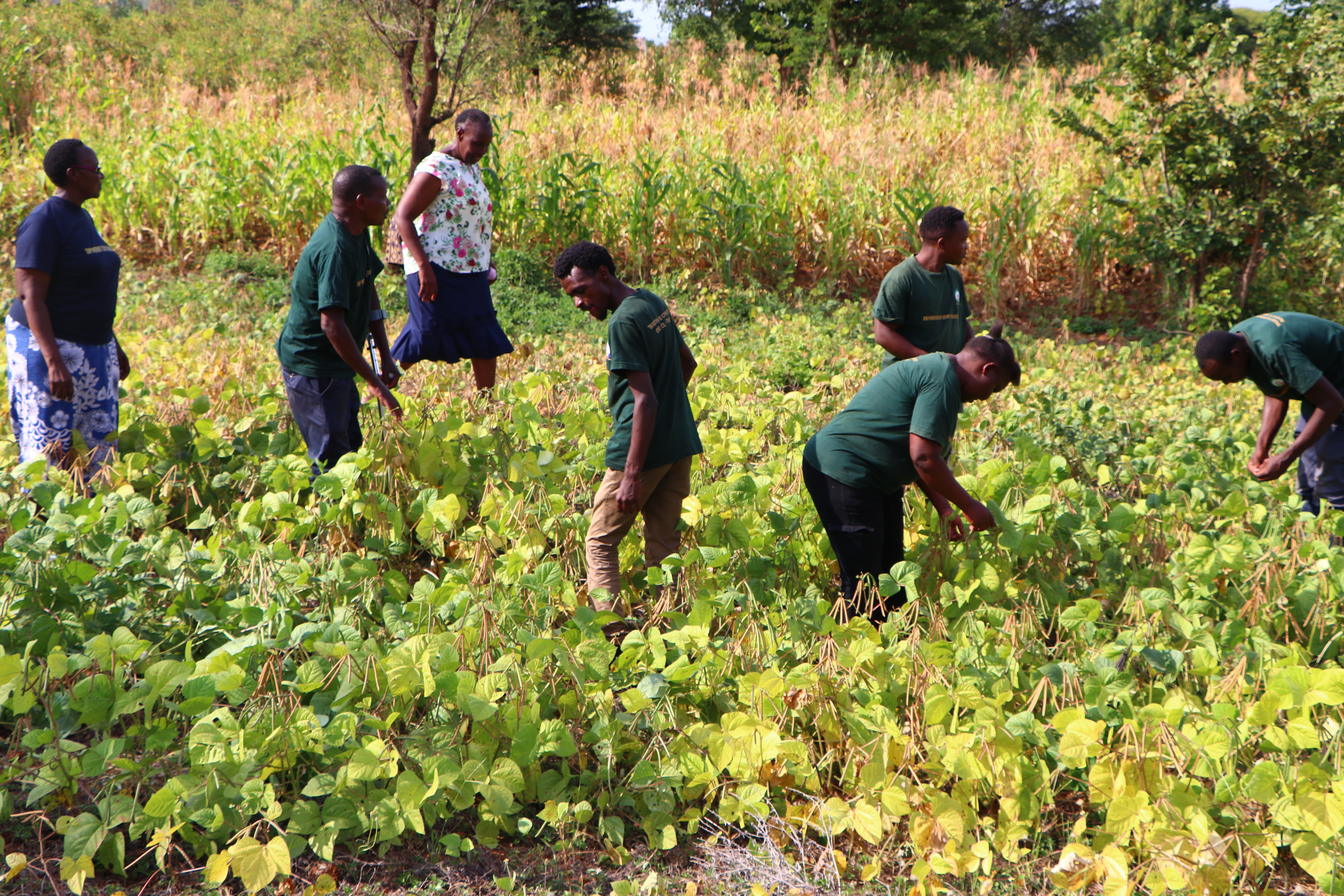 Agricultural Training Session